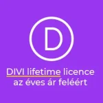 5. HelloWP szolgáltatás: Prémium támogatás Divi-hez